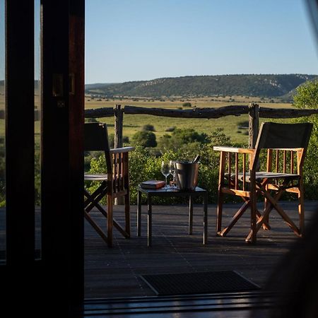 Hillsnek Safari Camp - Amakhala Game Reserve Eksteriør billede