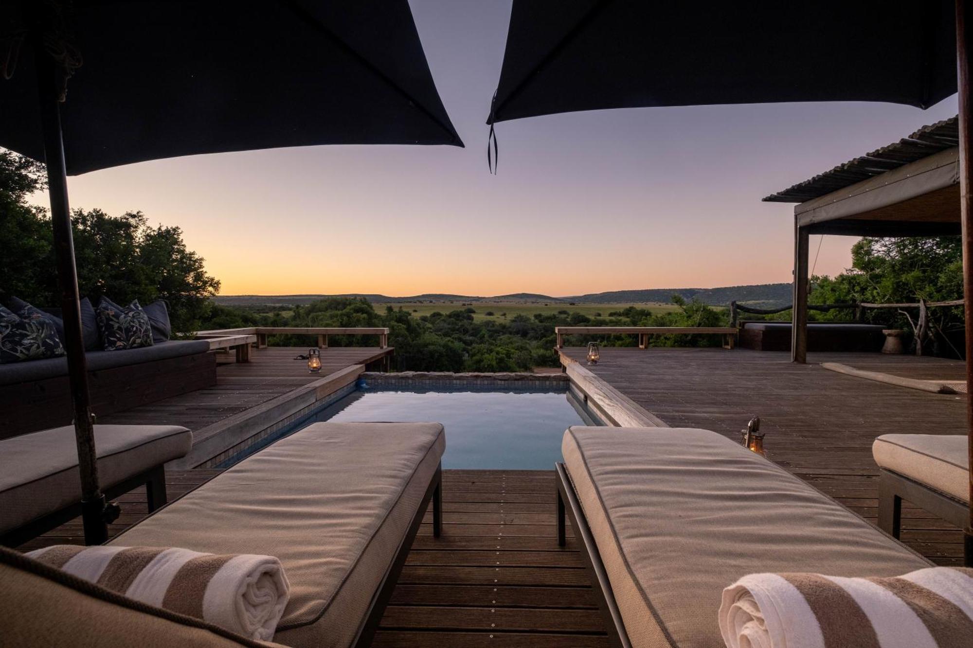 Hillsnek Safari Camp - Amakhala Game Reserve Eksteriør billede