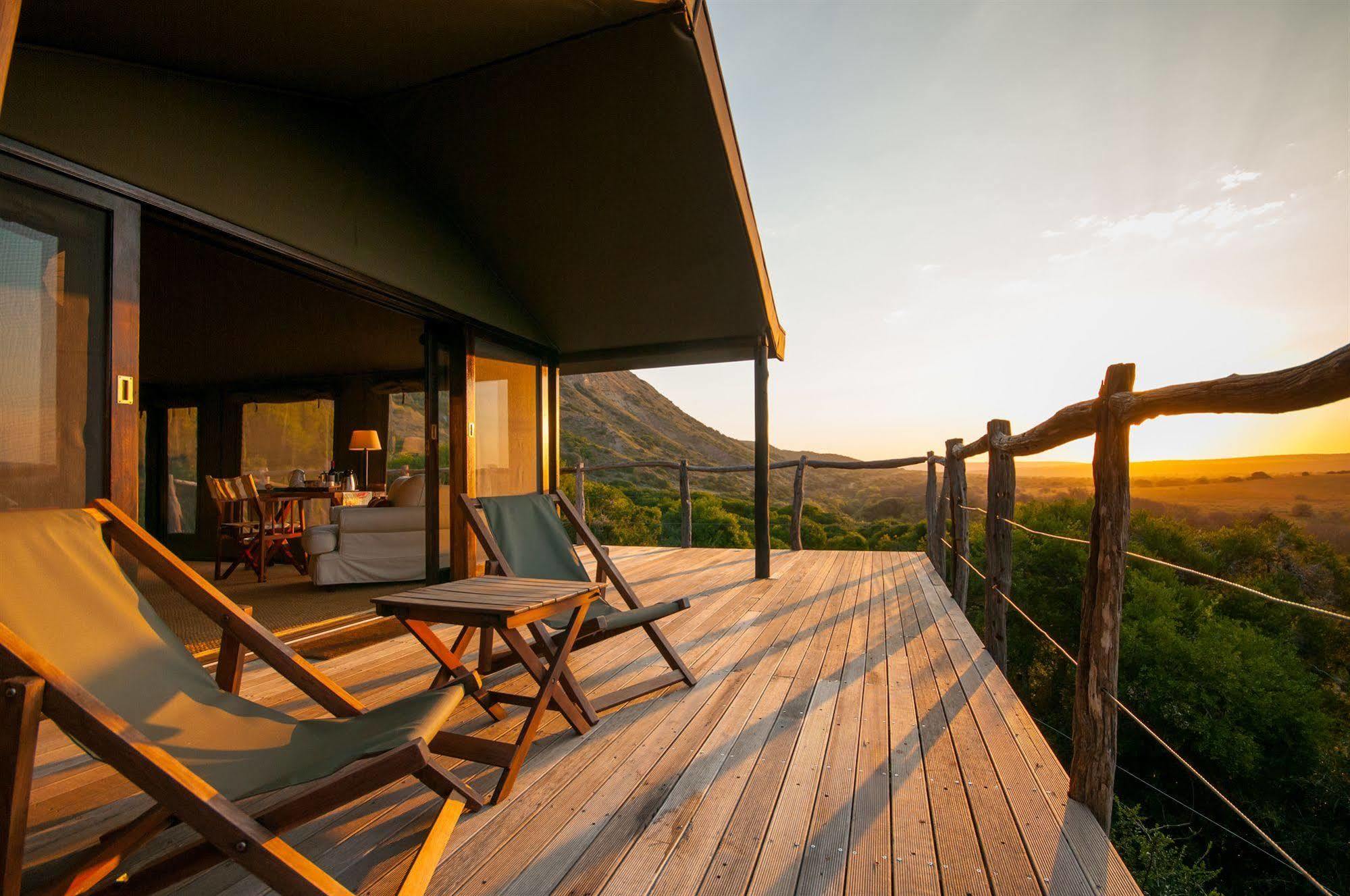 Hillsnek Safari Camp - Amakhala Game Reserve Eksteriør billede