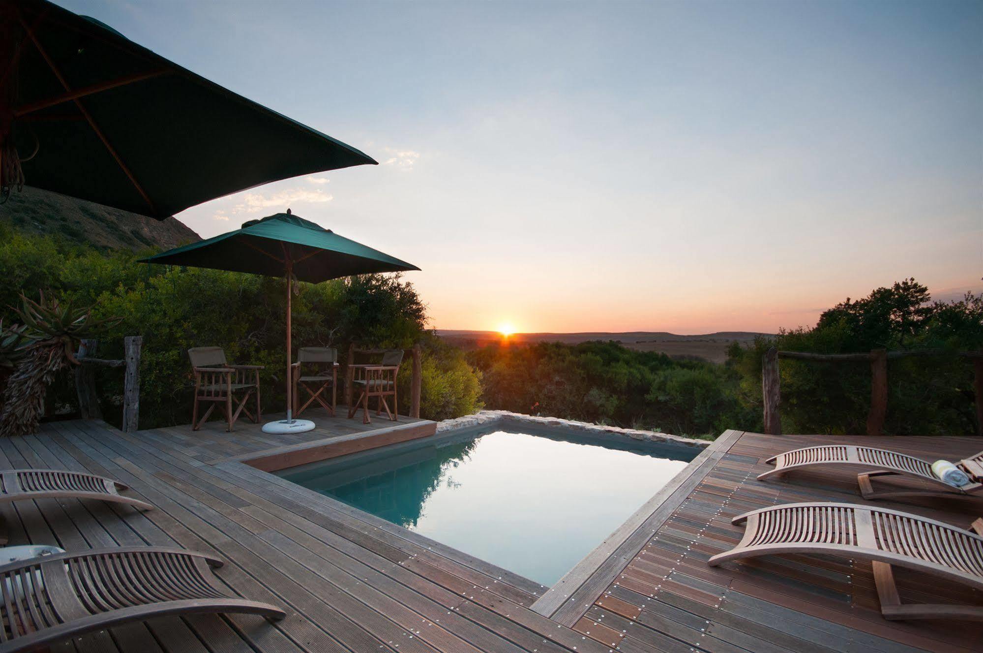 Hillsnek Safari Camp - Amakhala Game Reserve Eksteriør billede