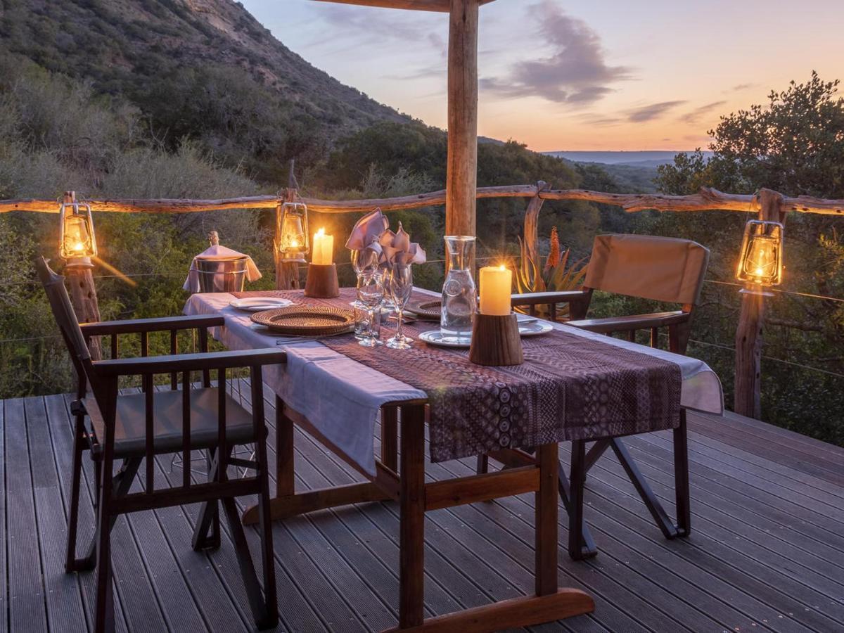 Hillsnek Safari Camp - Amakhala Game Reserve Eksteriør billede