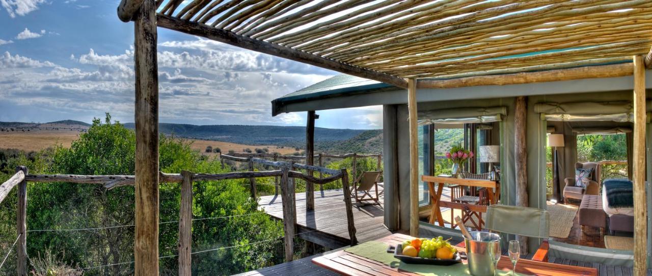 Hillsnek Safari Camp - Amakhala Game Reserve Eksteriør billede